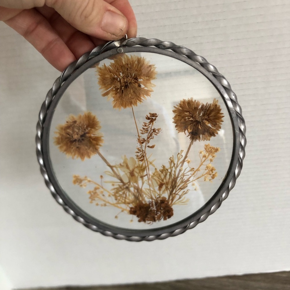 Vtg Pressed Flowers Sun Catcher - Picture 4 of 10